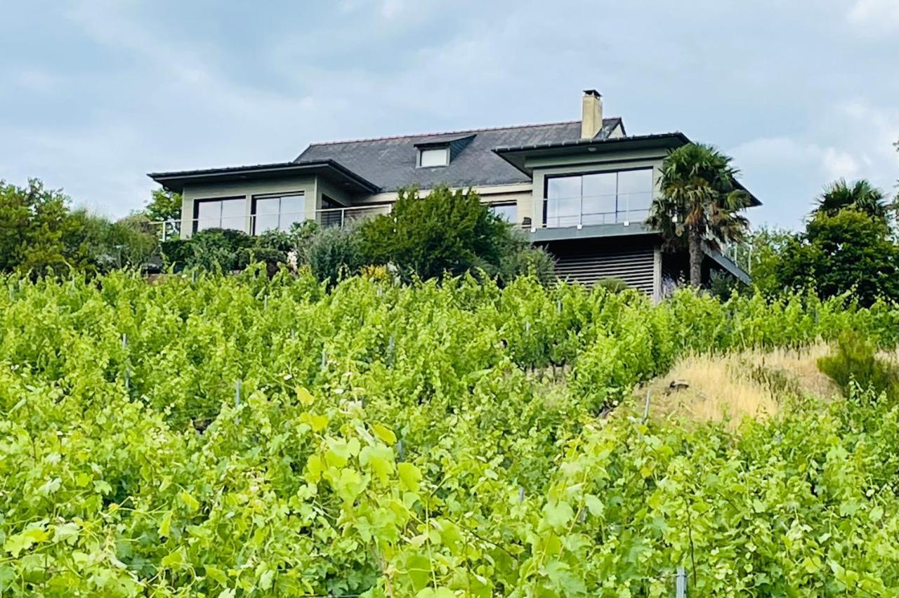 Maison Des Coteaux Blancs Chaudefonds-sur-Layon Exterior photo