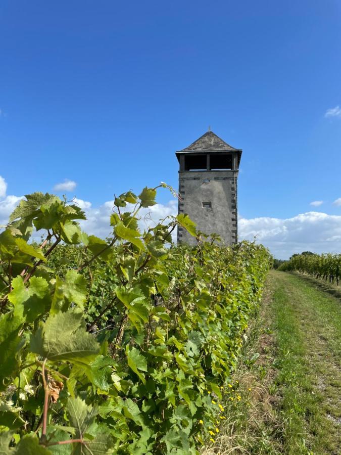 Maison Des Coteaux Blancs Chaudefonds-sur-Layon Exterior photo