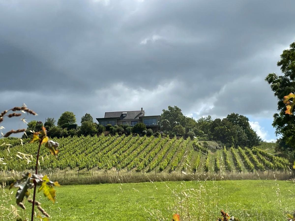 Maison Des Coteaux Blancs Chaudefonds-sur-Layon Exterior photo